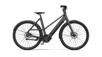Electric Ivy Two Lite
