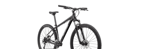 find dream bike